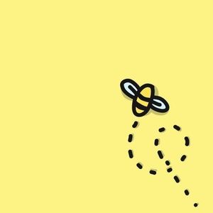 Meet your Posher, Aalliny